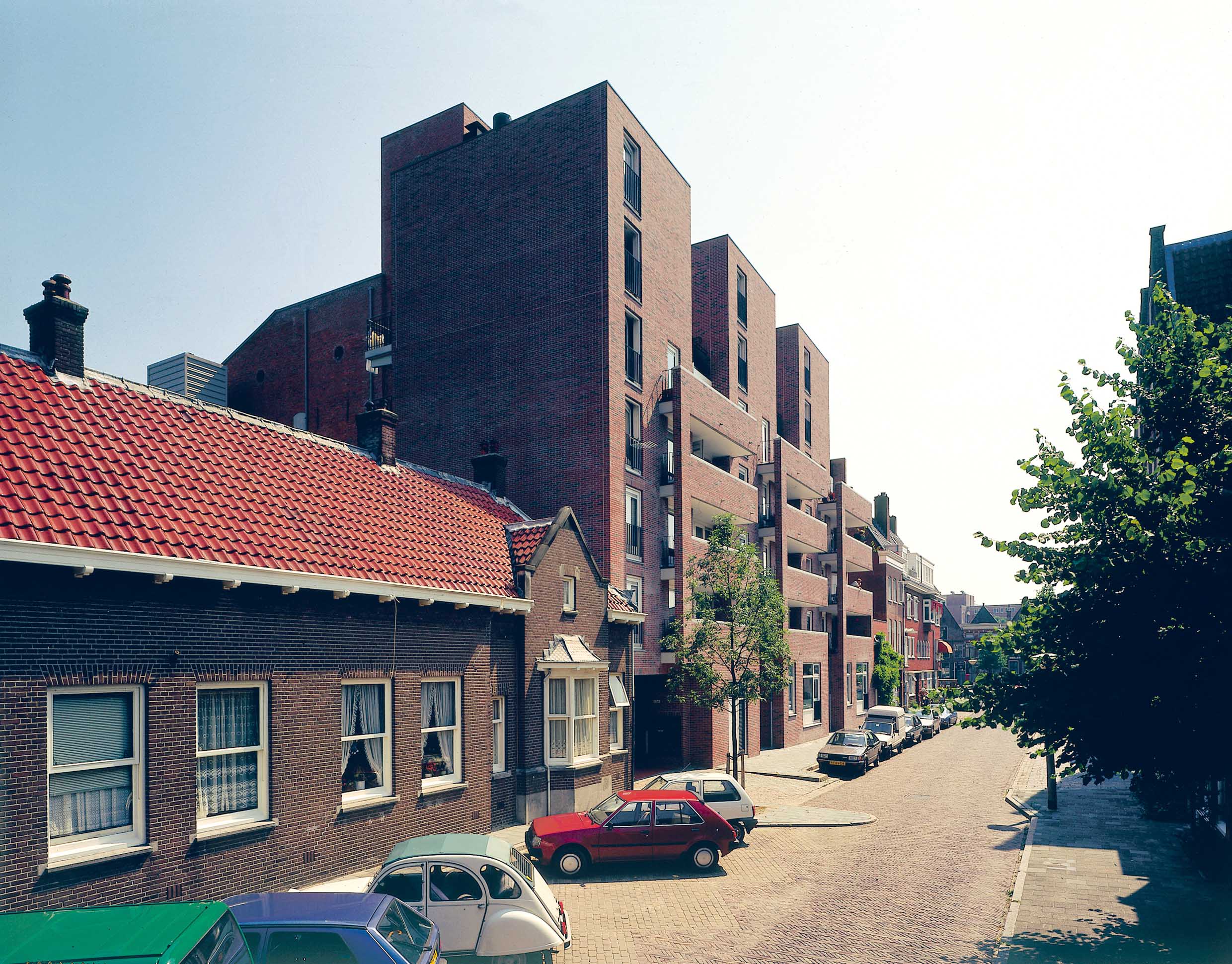 Albion © Ivan Nemec