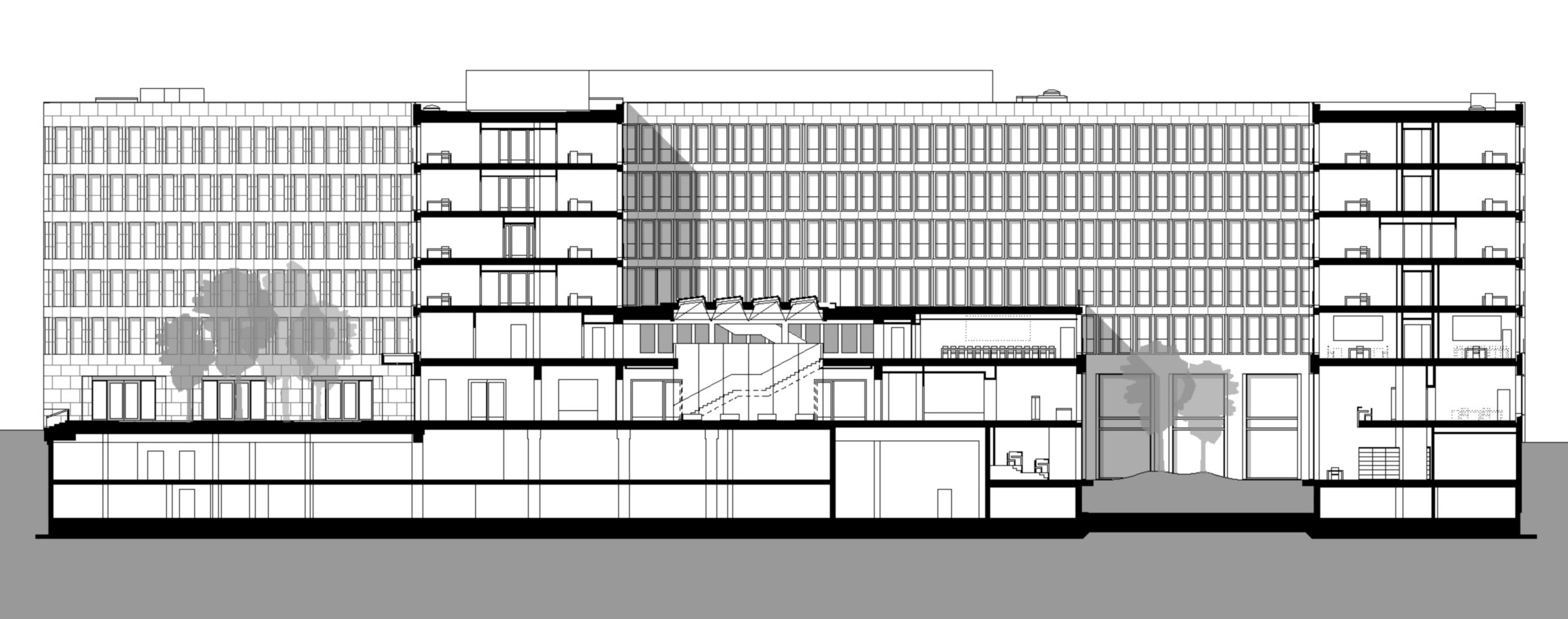 Fakultätsgebäude II, Goethe-Universität Frankfurt a.M., Längsschnitt