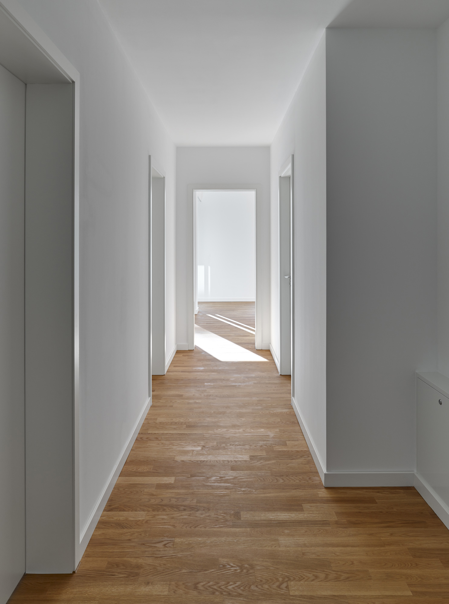 Gertrud-Feiertag-Straße, Potsdam; Foto: Stefan Müller