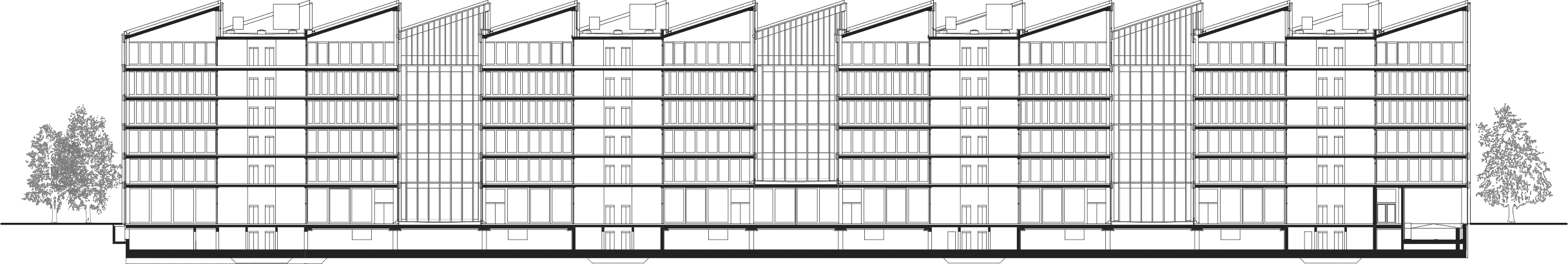 Büro- und Gewerbecampus in Berlin-Neukölln - SHED - Längsschnitt Warehouse
