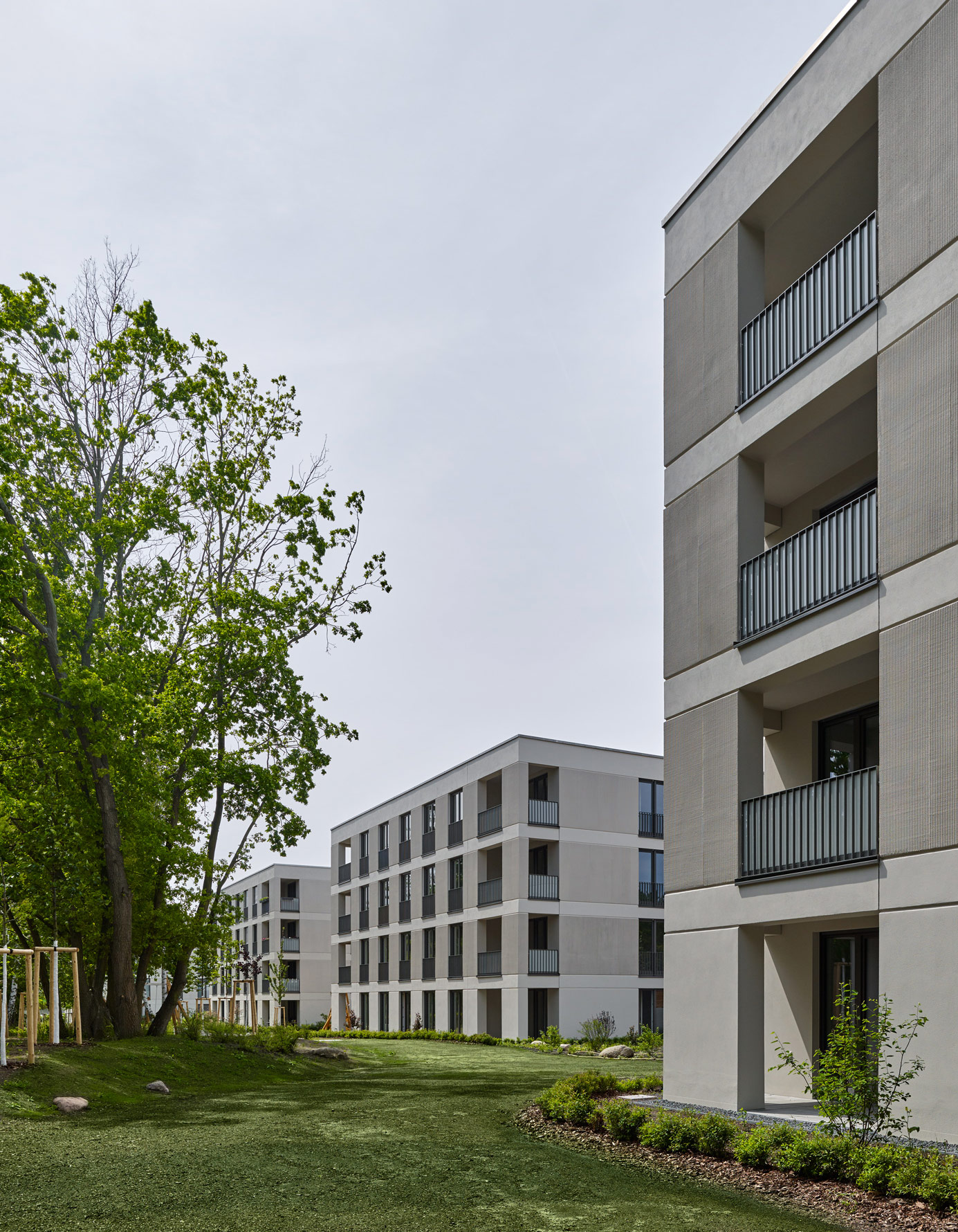 Gertrud-Feiertag-Straße, Potsdam;  Foto: Stefan Müller