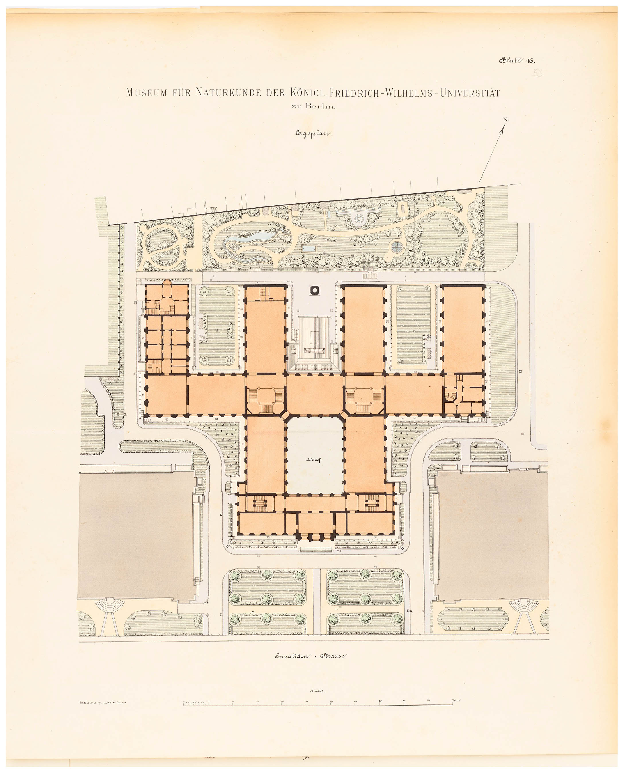 Museum für Naturkunde Berlin - historischer Lageplan © Architekturmuseum TU Berlin